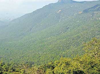 Nabard launches tribal project in Pachamalai hills