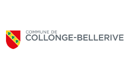 logo-color